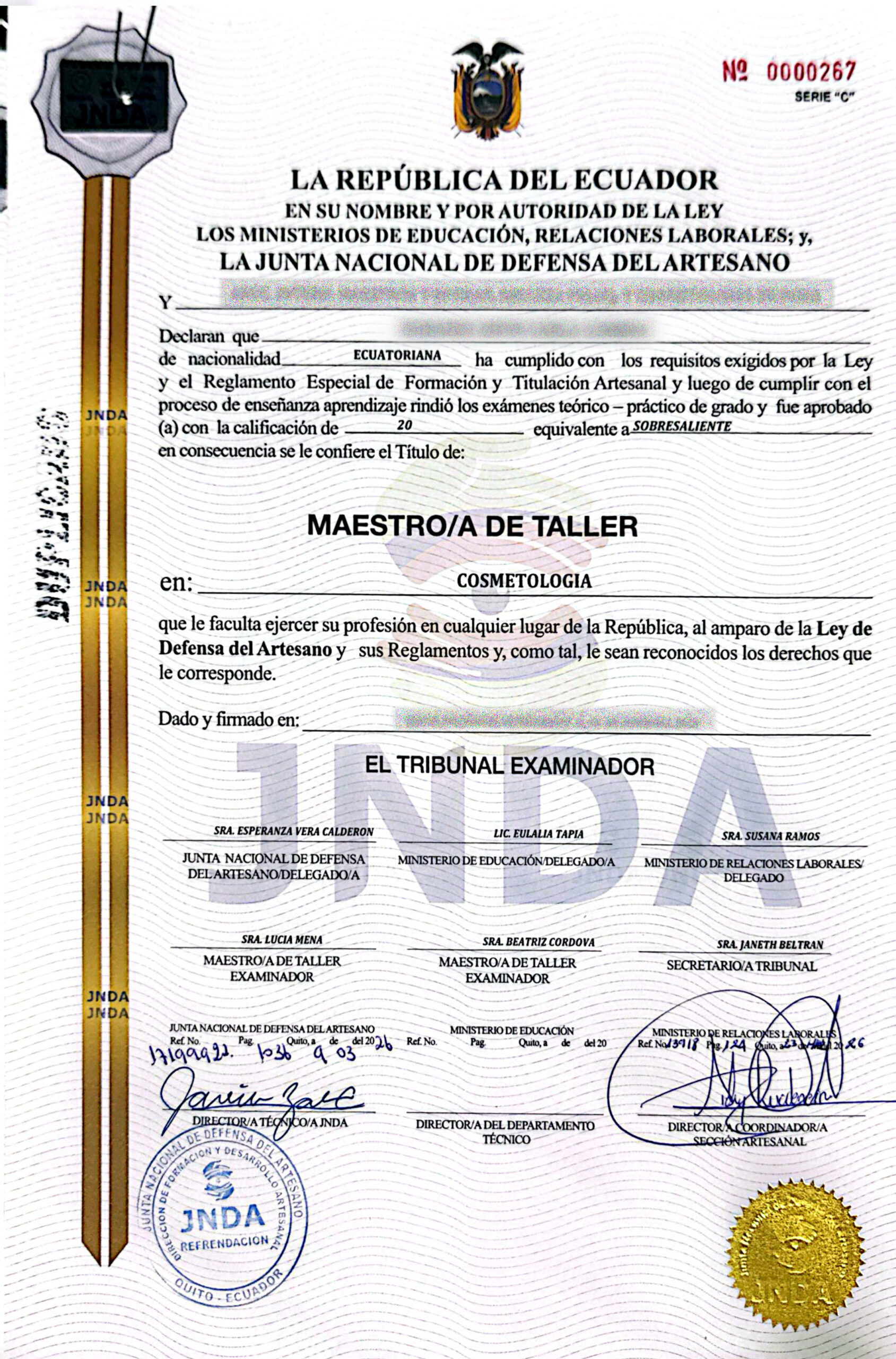 titulo artesanal ejemplo